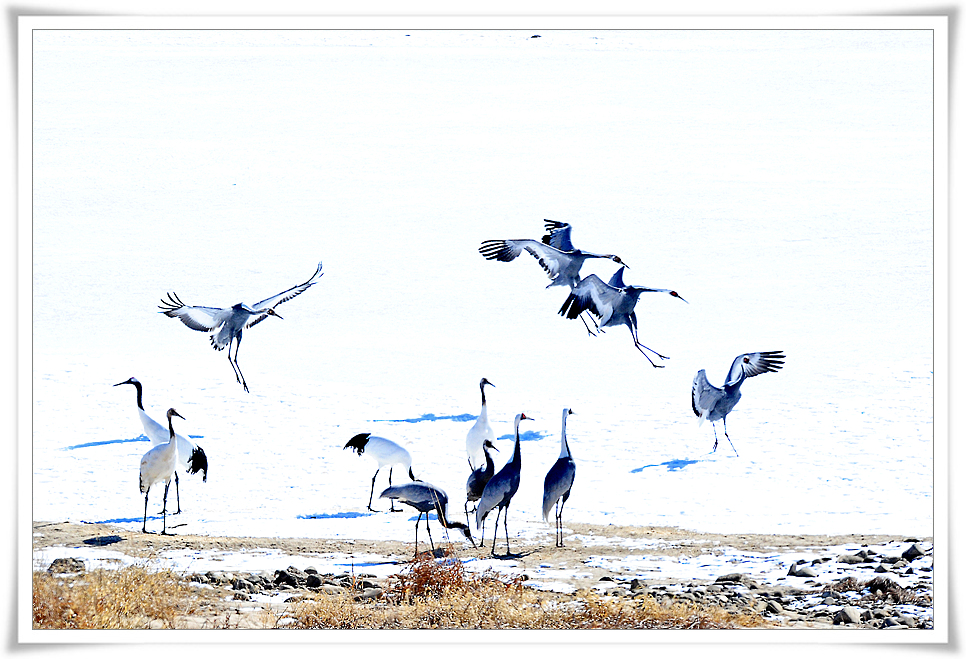 DSC_9420-1.jpg