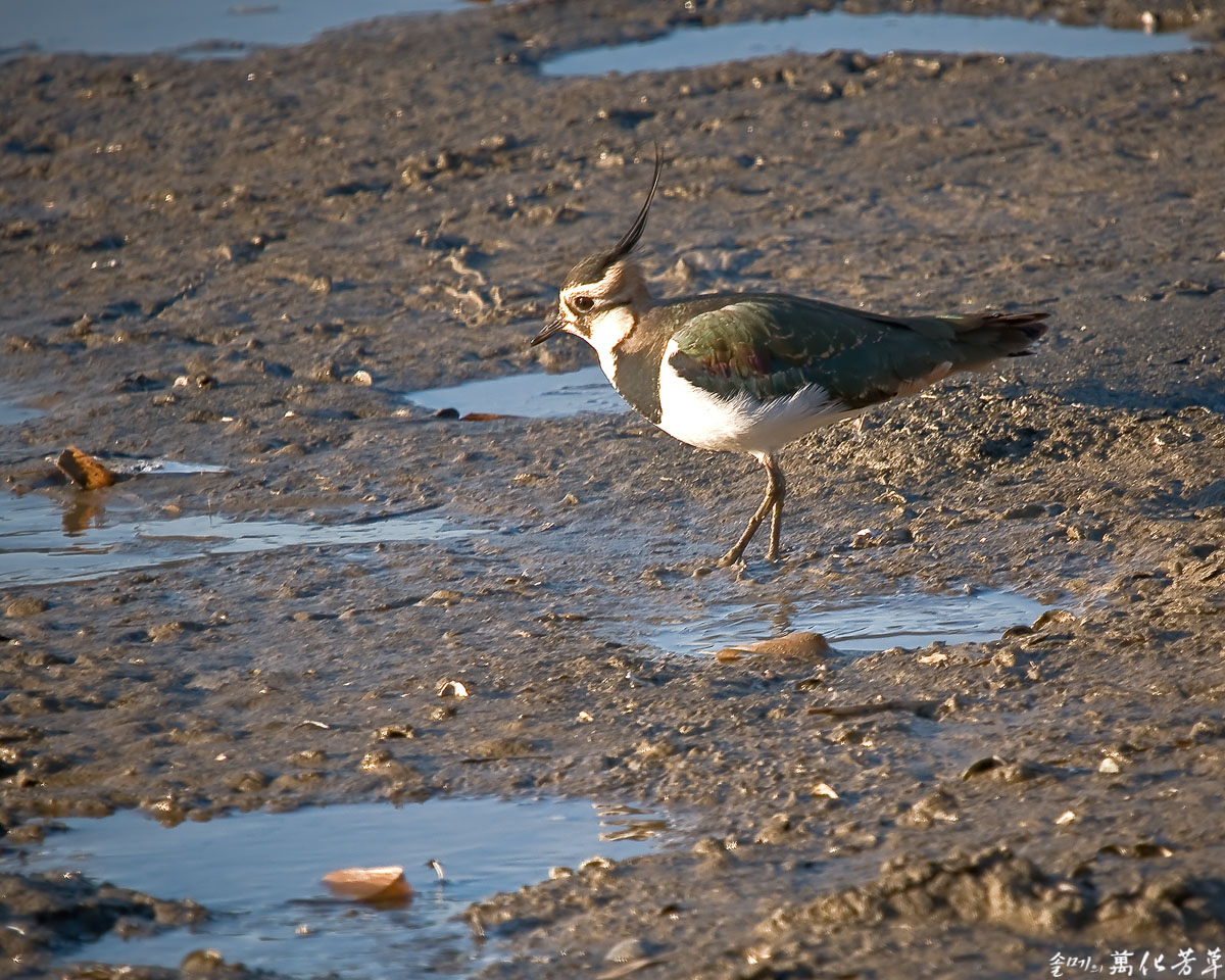 DSC_9045.jpg