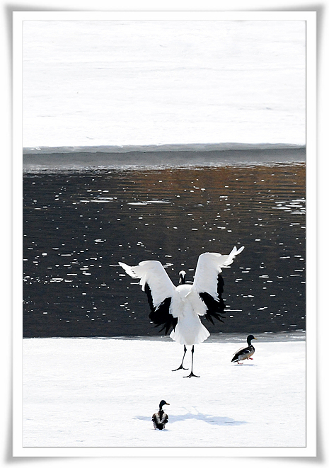 DSC_2761-1.jpg