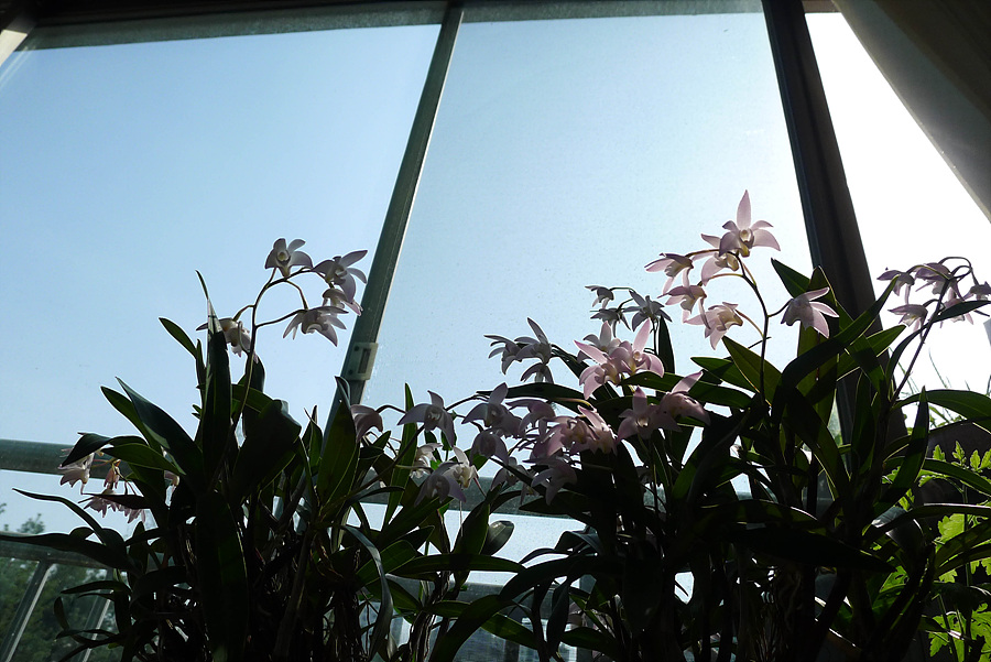 20130421-L1060125.jpg