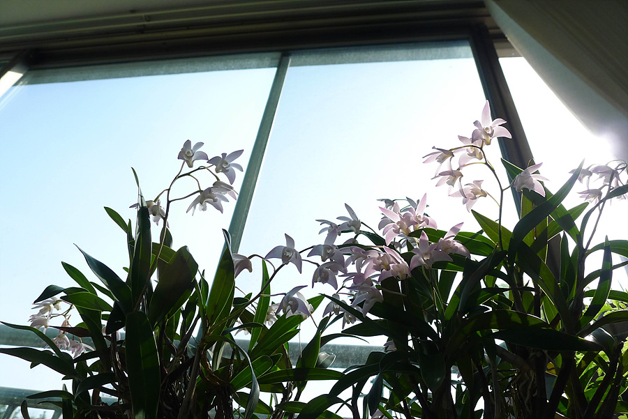 20130421-L1060126.jpg