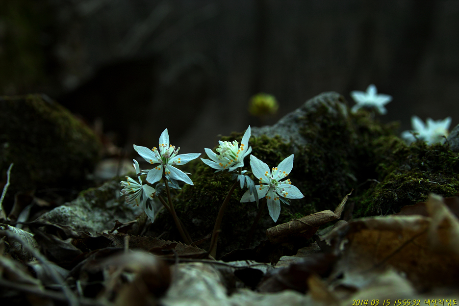 SDIM5802.jpg