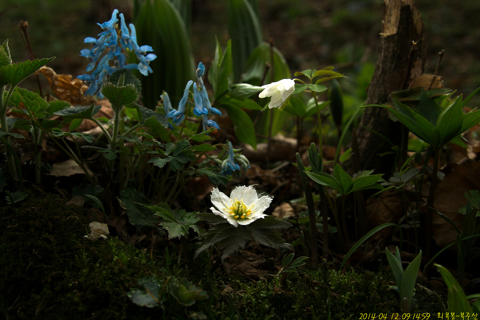 SDIM6716.jpg