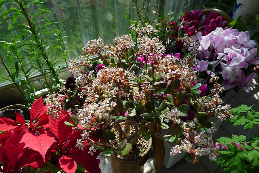 20130421-L1060147.jpg