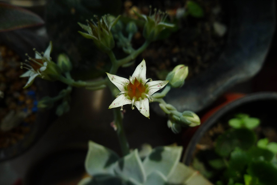 20130421-L1060130.jpg