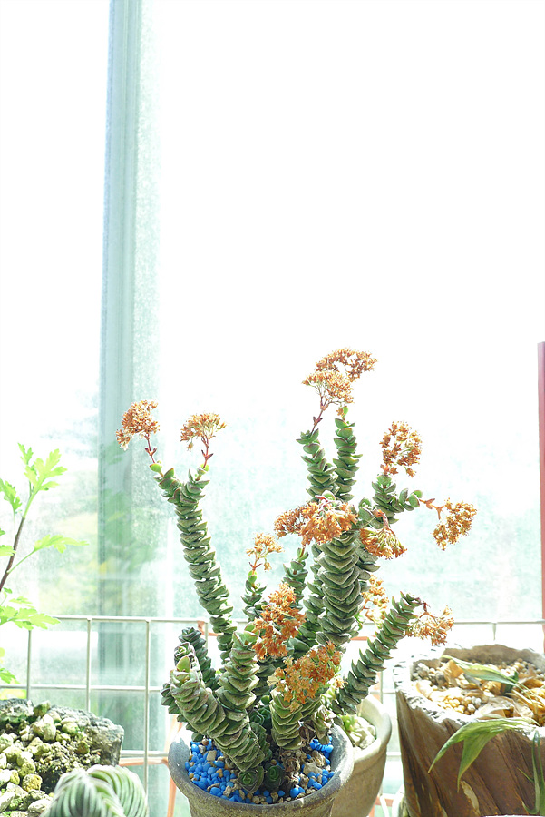 20130421-L1060141.jpg