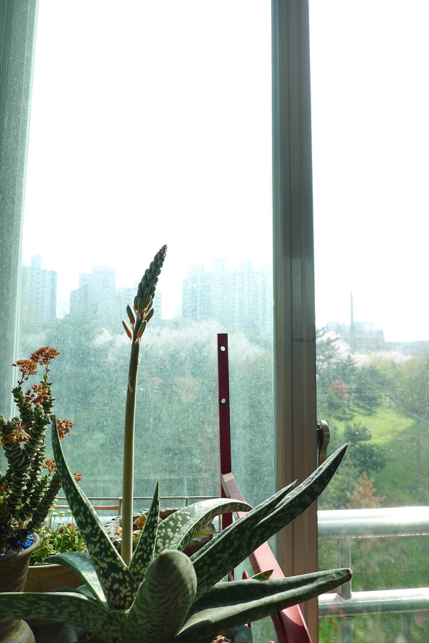 20130421-L1060140.jpg