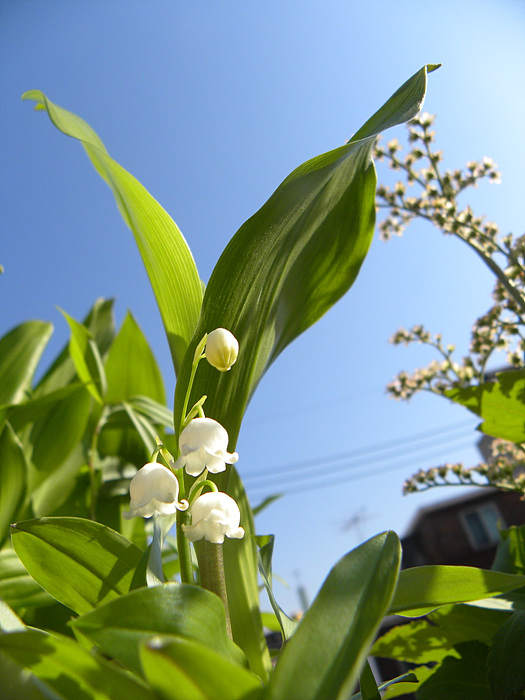 DSCN1822.jpg