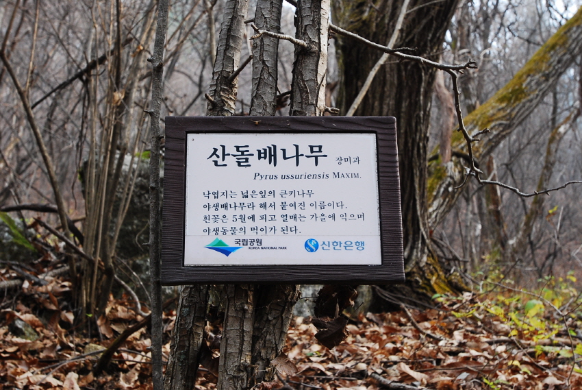 크기변환_DSC_0081.JPG