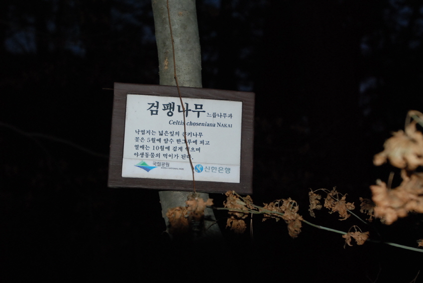 크기변환_DSC_0414.JPG