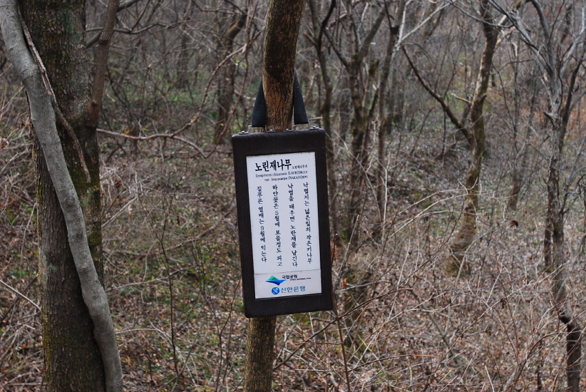 크기변환_DSC_0080.JPG