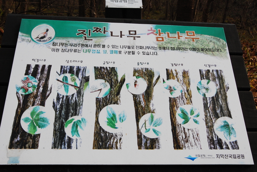 크기변환_DSC_0071.JPG