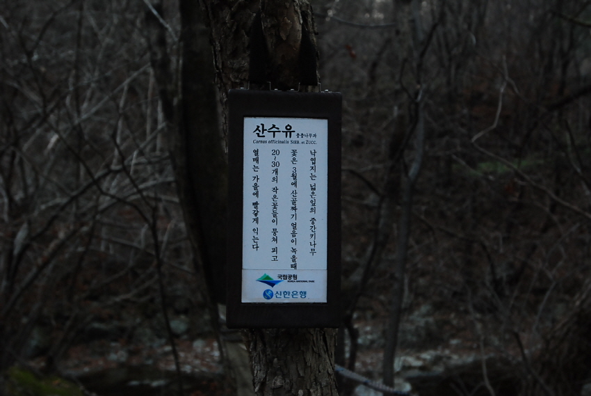 크기변환_DSC_0388.JPG