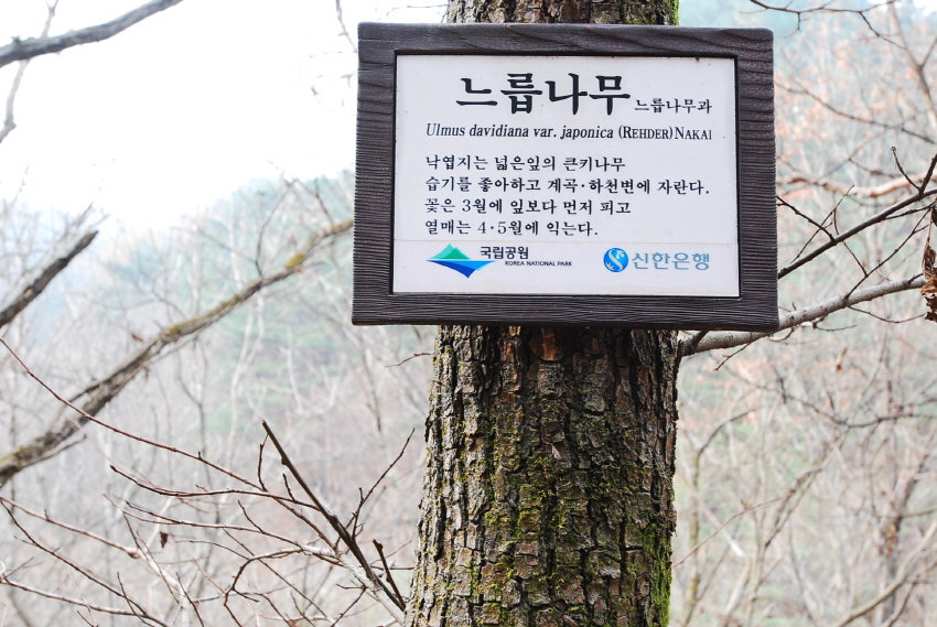 크기변환_DSC_0076.JPG