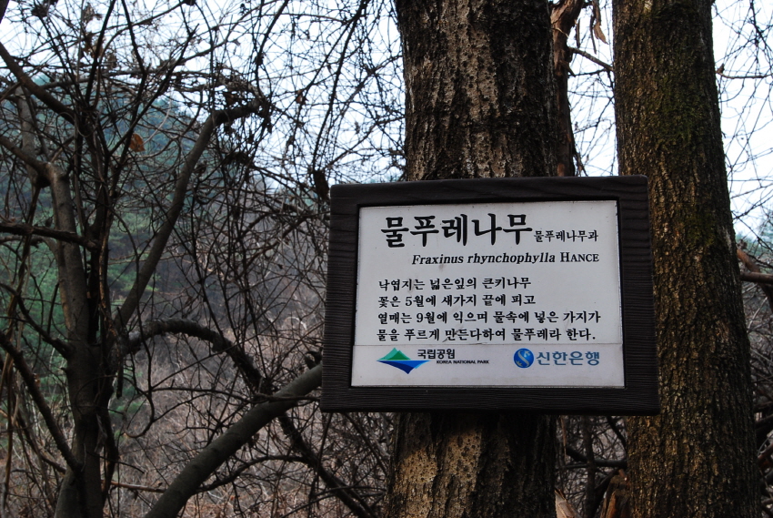 크기변환_DSC_0074.JPG