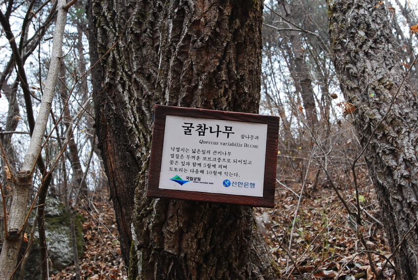 크기변환_DSC_0098.JPG