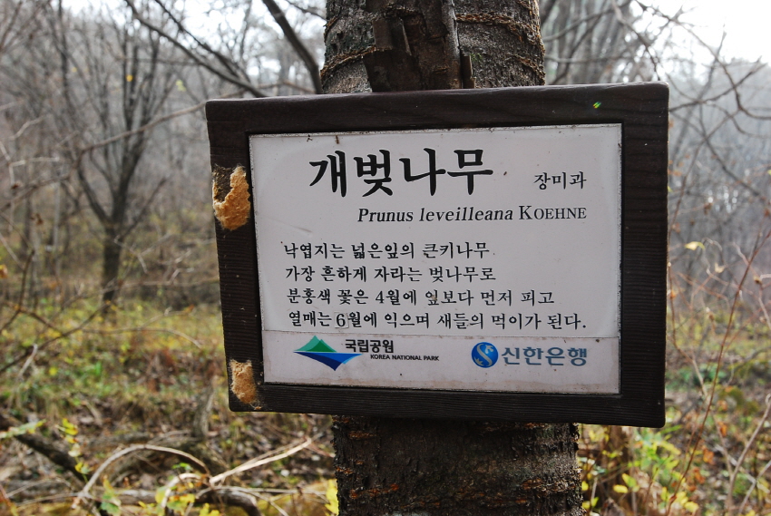 크기변환_DSC_0095.JPG