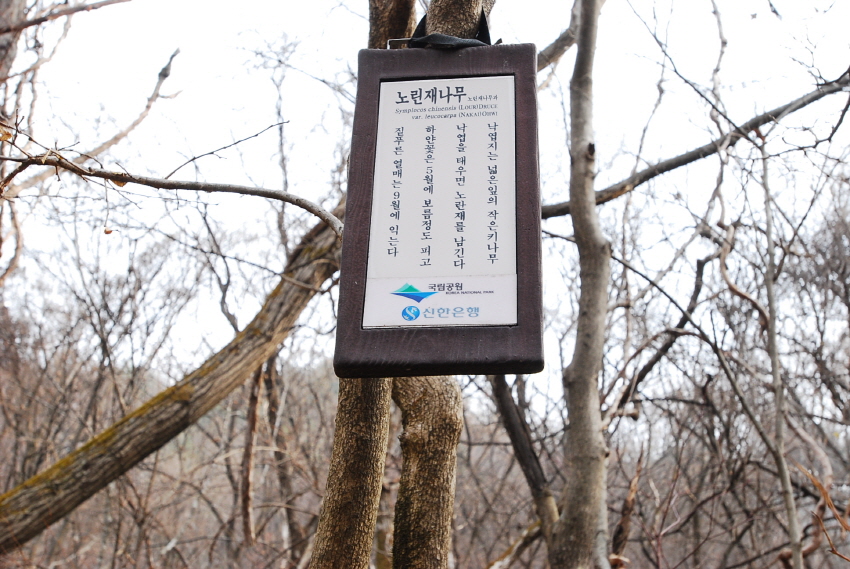 크기변환_DSC_0082.JPG