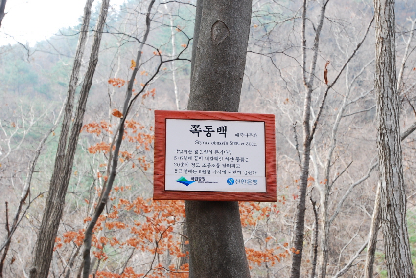크기변환_DSC_0100.JPG