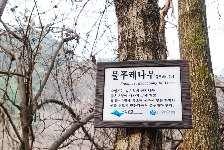 크기변환_DSC_0075.JPG