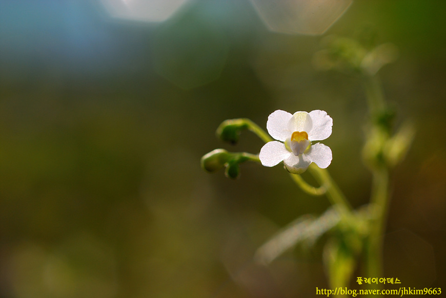 DSC_9402.jpg