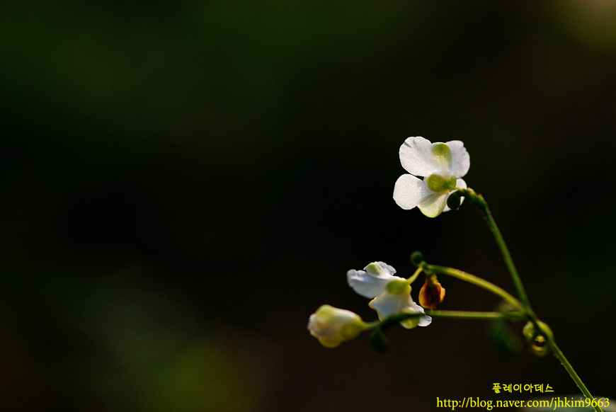 DSC_9475.jpg