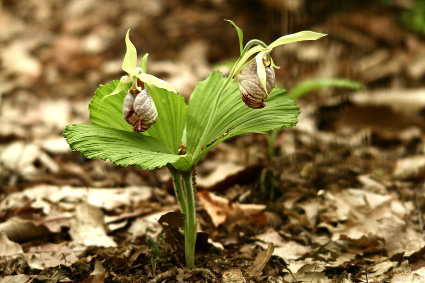 2013-05-14 003.jpg