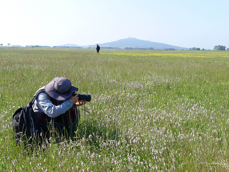 20130513-L1060826.jpg
