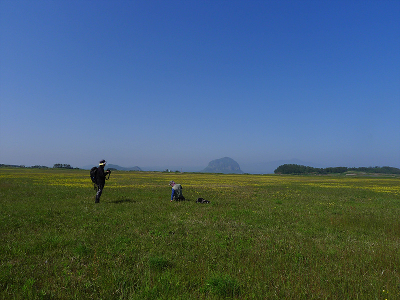 20130513-L1060817.jpg