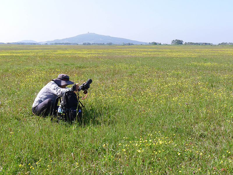 20130513-L1060824.jpg