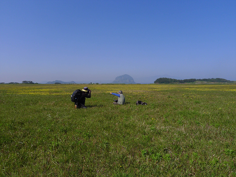 20130513-L1060818.jpg