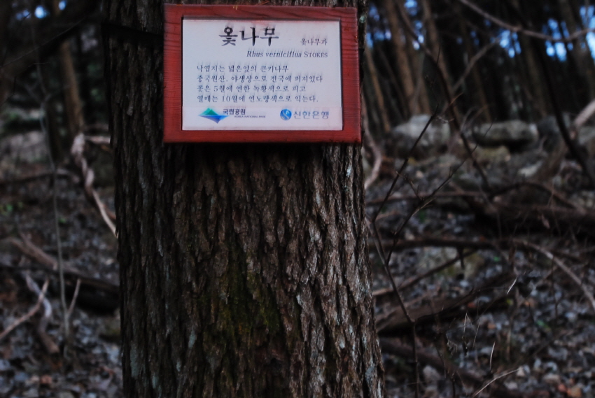 크기변환_DSC_0399.JPG