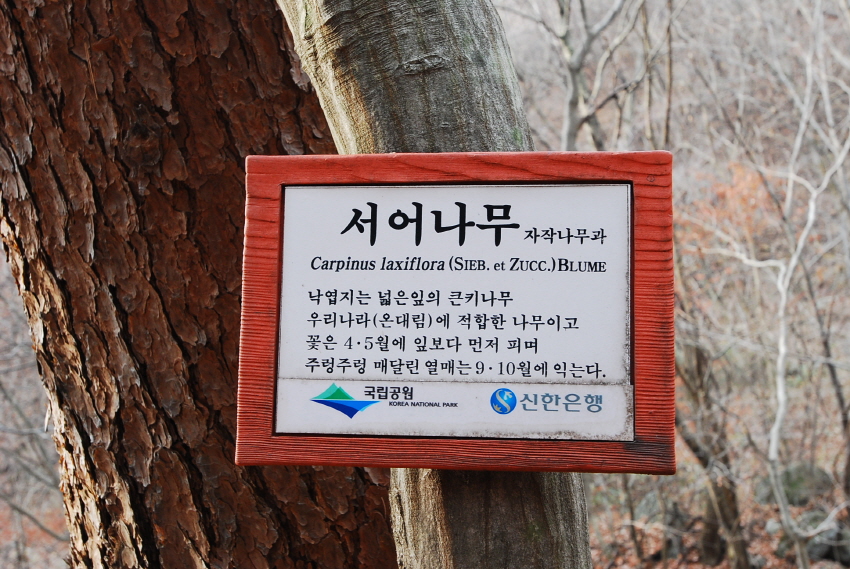 크기변환_DSC_0118.JPG