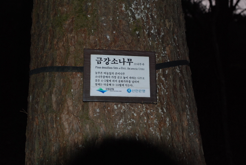 크기변환_DSC_0406.JPG