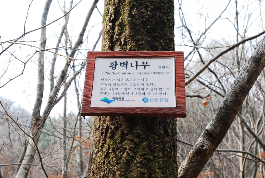크기변환_DSC_0128.JPG