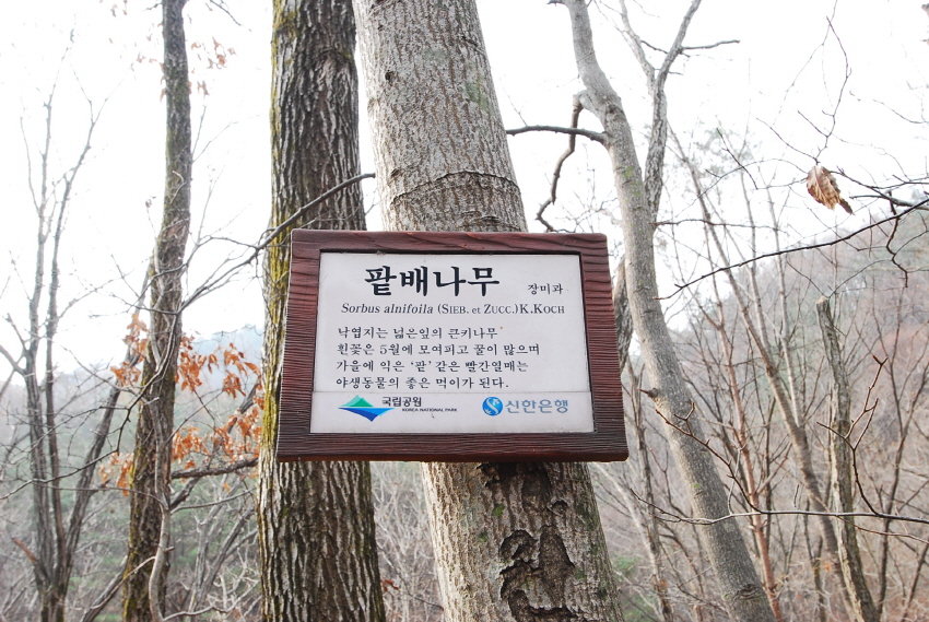 크기변환_DSC_0107.JPG