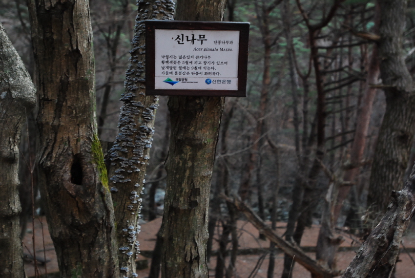 크기변환_DSC_0394.JPG
