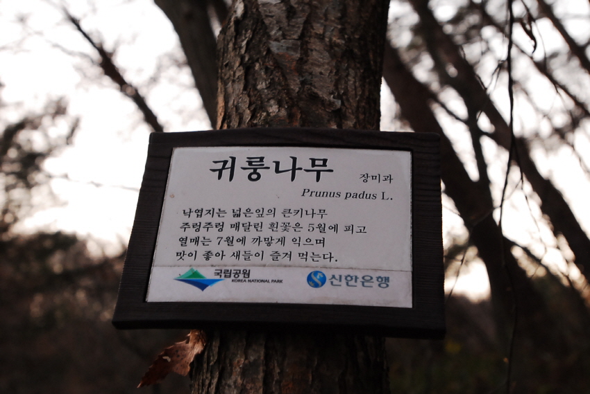 크기변환_DSC_0401.JPG