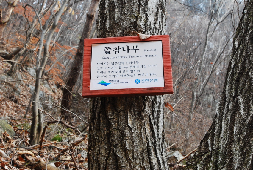 크기변환_DSC_0144.JPG