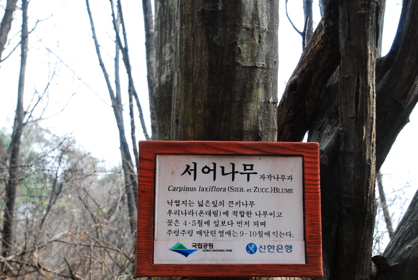 크기변환_DSC_0160.JPG