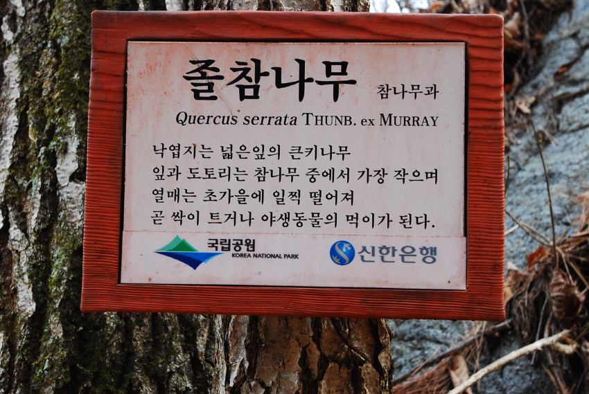 크기변환_DSC_0155.JPG