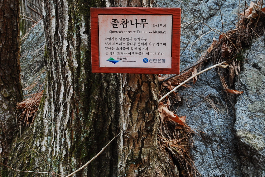크기변환_DSC_0156.JPG