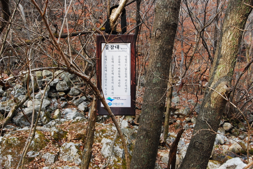 크기변환_DSC_0134.JPG