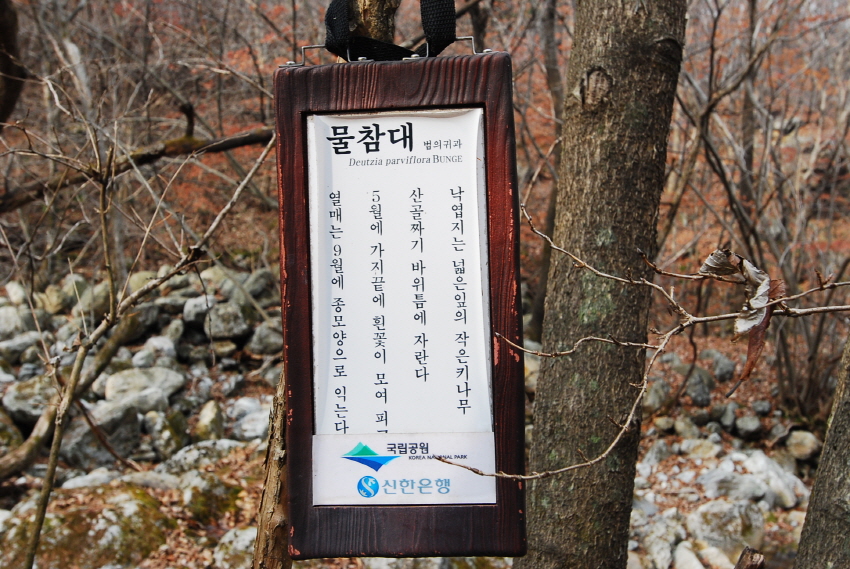 크기변환_DSC_0133.JPG