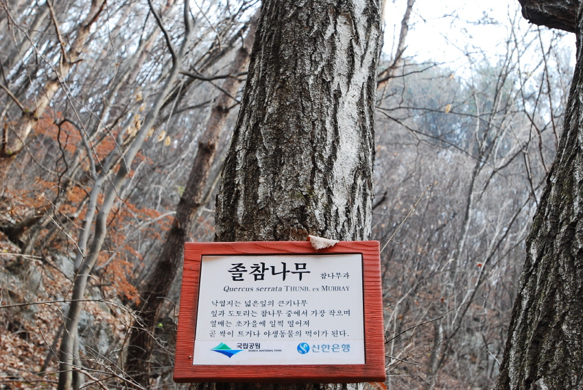 크기변환_DSC_0146.JPG