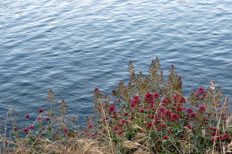 DSC_2702.JPG