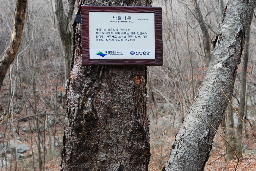 크기변환_DSC_0162.JPG