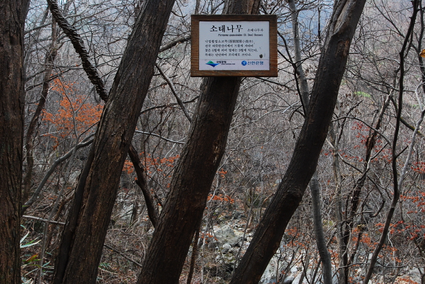 크기변환_DSC_0170.JPG