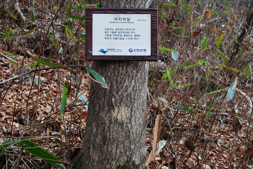 크기변환_DSC_0167.JPG