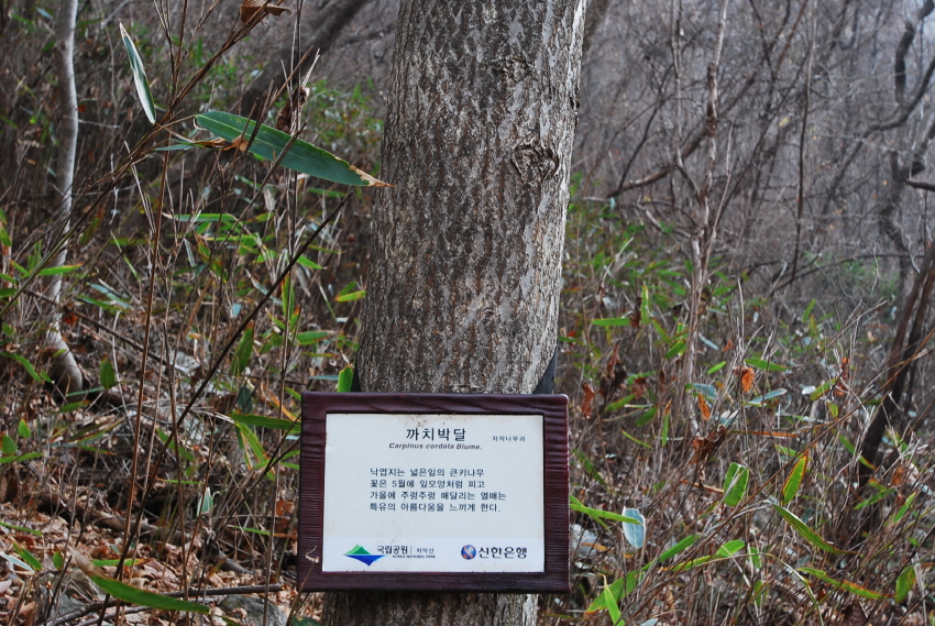 크기변환_DSC_0168.JPG
